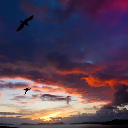 Διαμέρισμα Miracies